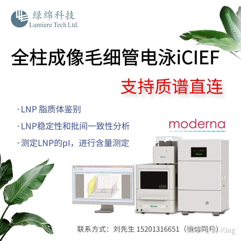 綠綿2.jpg