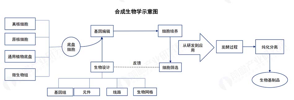 hecheng1.jpg